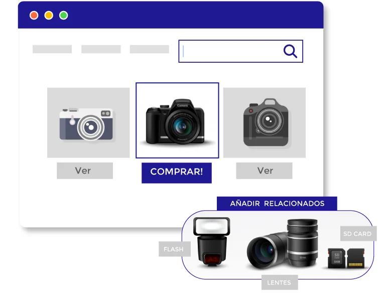 Search experience for e-commerce